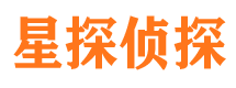 高平侦探